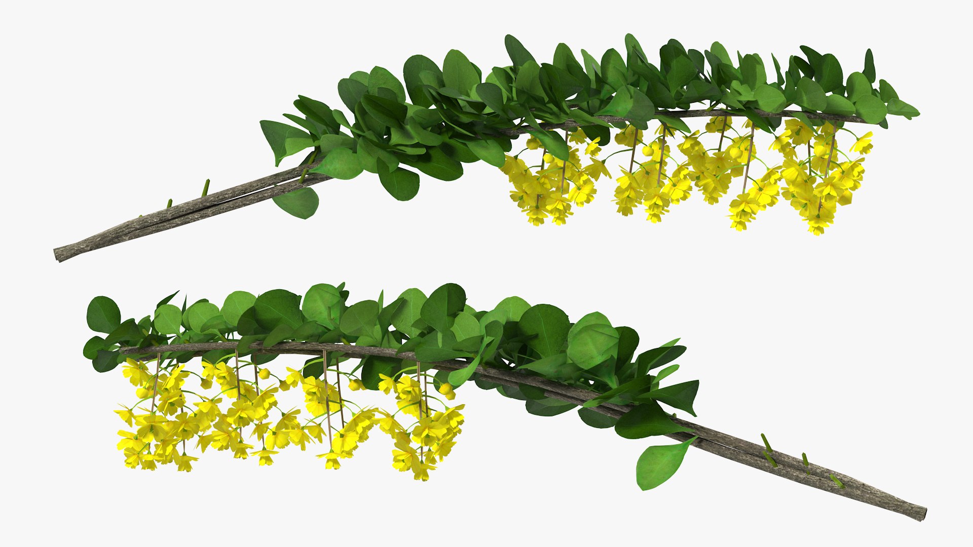 Branches Collection 3 model https://p.turbosquid.com/ts-thumb/jV/2Ckwz5/L8/branchescollection33dmodel019/jpg/1666601497/1920x1080/fit_q87/bf31489e12678c46779e839edebe13f3598d3bc7/branchescollection33dmodel019.jpg
