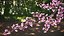 Branches Collection 3
