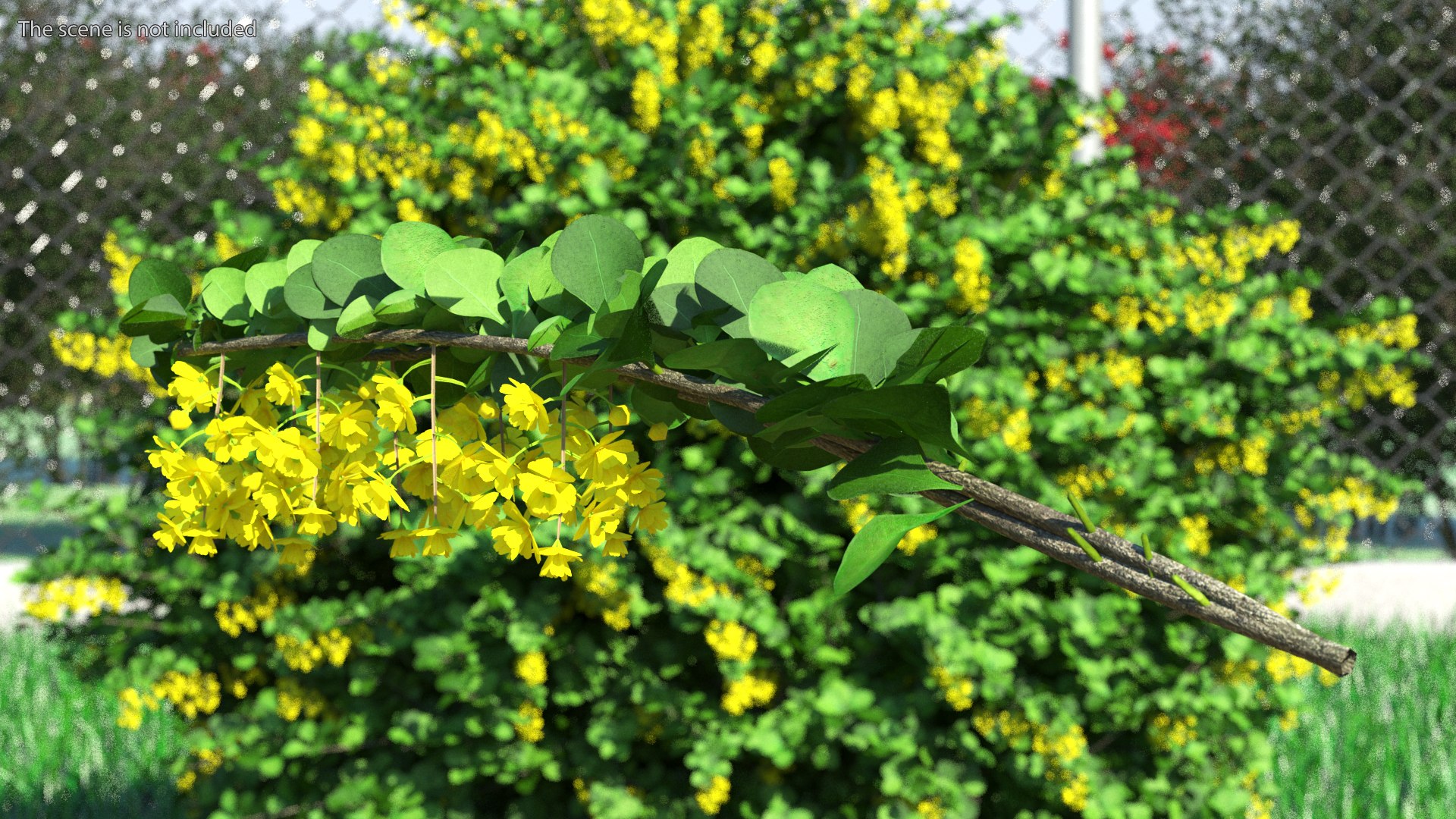 Branches Collection 3 model https://p.turbosquid.com/ts-thumb/jV/2Ckwz5/Yg/branchescollection33dmodel015/jpg/1666601480/1920x1080/fit_q87/db006adbec7b038d2ed1d75fb31d55f062a01eba/branchescollection33dmodel015.jpg
