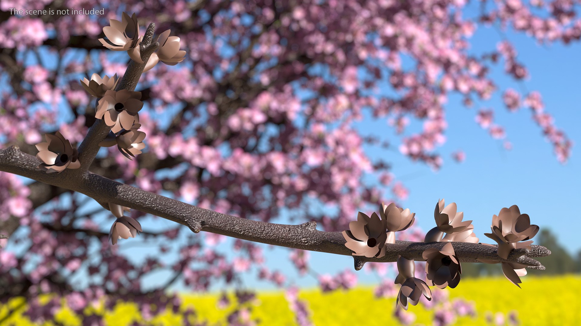 Branches Collection 3 model https://p.turbosquid.com/ts-thumb/jV/2Ckwz5/ZJ/branchescollection33dmodel027/jpg/1666601527/1920x1080/fit_q87/32750586d7b3b3b9a374dd7b7450ddff8e707409/branchescollection33dmodel027.jpg