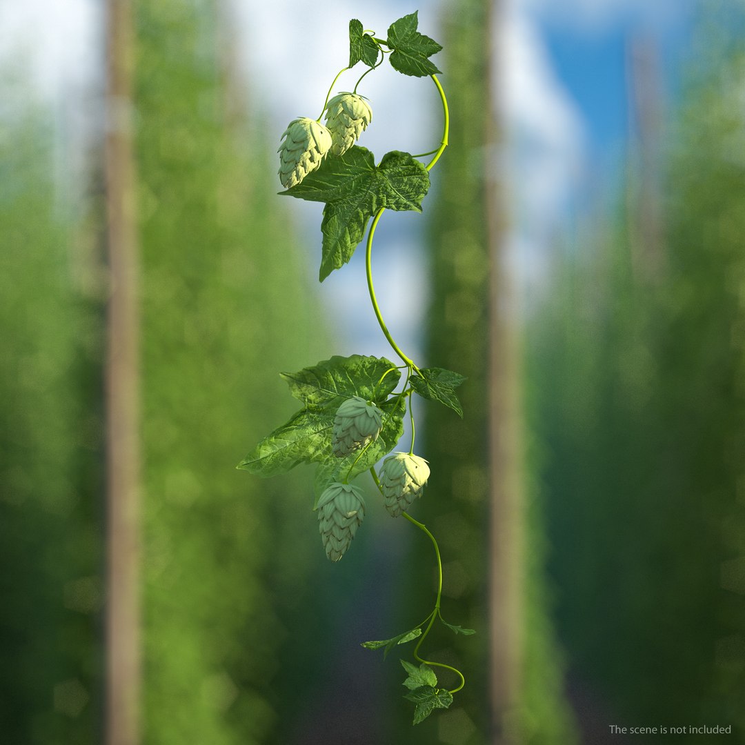 Branches Collection 3 model https://p.turbosquid.com/ts-thumb/jV/2Ckwz5/c5/branchescollection33dmodel003/jpg/1666601439/1920x1080/fit_q87/bf48b40a56f649848bdfb86cfc7d115ef784a6d5/branchescollection33dmodel003.jpg