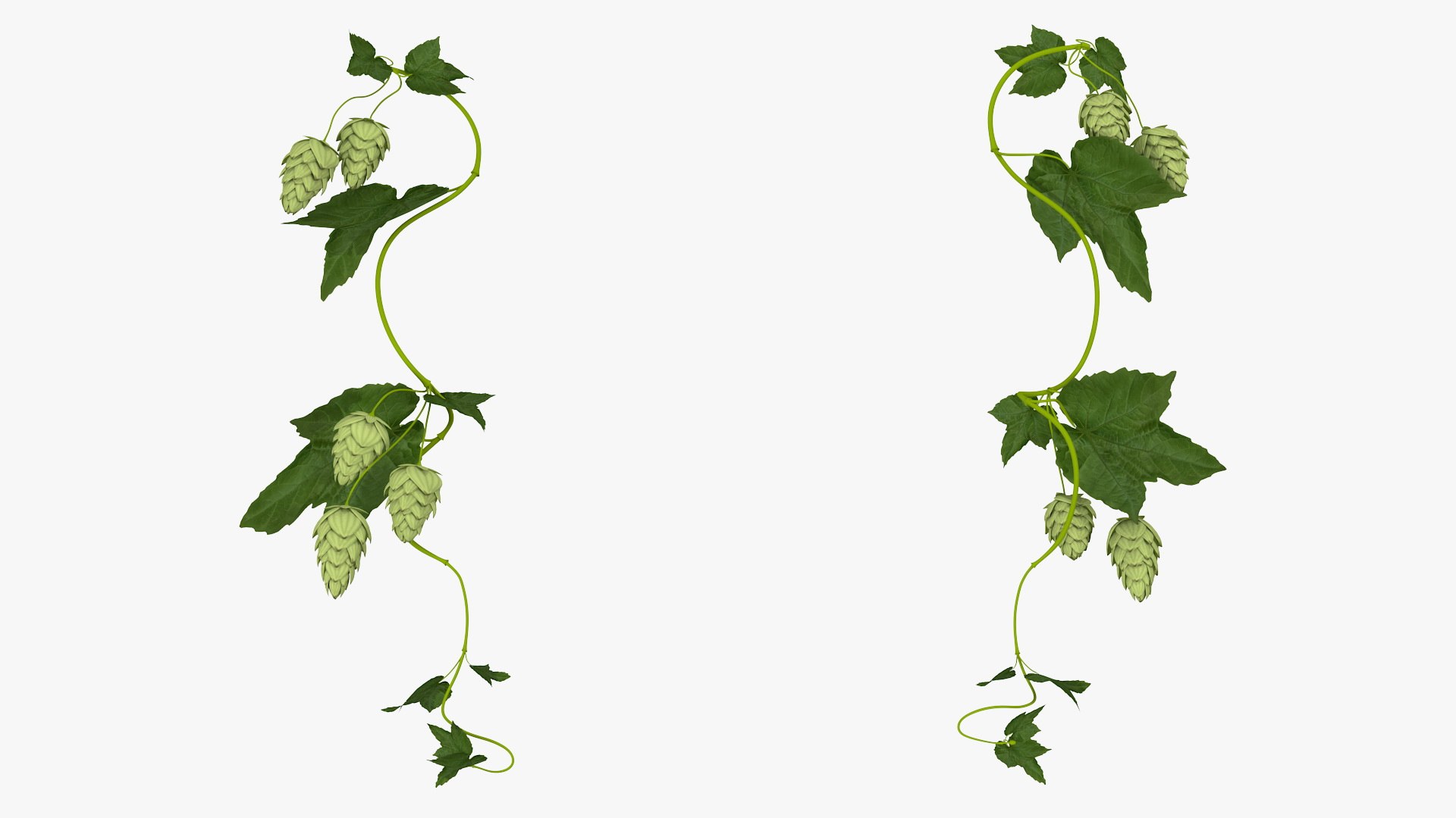 Branches Collection 3 model https://p.turbosquid.com/ts-thumb/jV/2Ckwz5/ii/branchescollection33dmodel005/jpg/1666601445/1920x1080/fit_q87/eb229f151db89725d96c6b8f547b18ad1baa91f5/branchescollection33dmodel005.jpg
