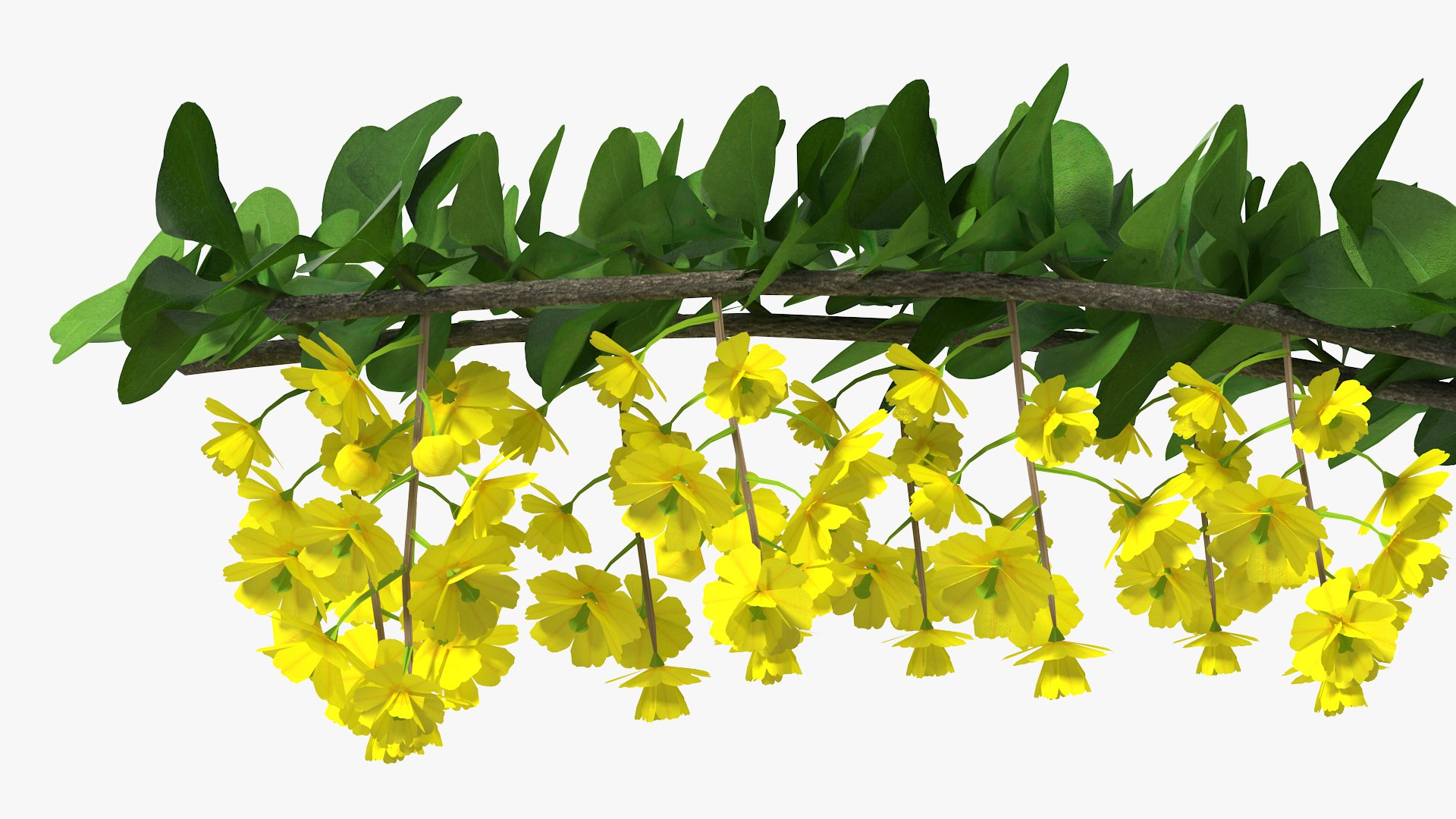 Branches Collection 3 model https://p.turbosquid.com/ts-thumb/jV/2Ckwz5/lS/branchescollection33dmodel021/jpg/1666601505/1920x1080/fit_q87/063c5f64490559ce984b63918c198f8db10a83d2/branchescollection33dmodel021.jpg