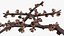 Branches Collection 3