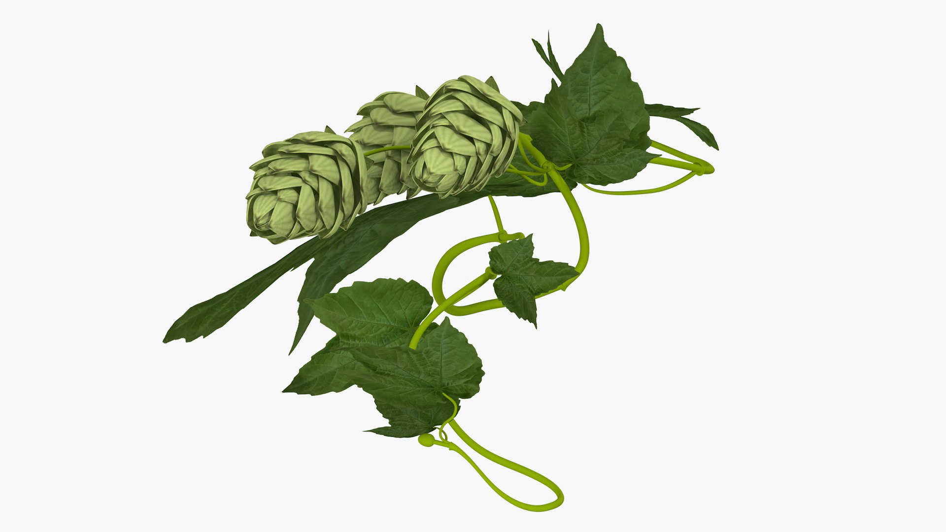Branches Collection 3 model https://p.turbosquid.com/ts-thumb/jV/2Ckwz5/zQ/branchescollection33dmodel006/jpg/1666601449/1920x1080/fit_q87/4bf4acd3b0ca83b1562f45b13babee91efbb6808/branchescollection33dmodel006.jpg