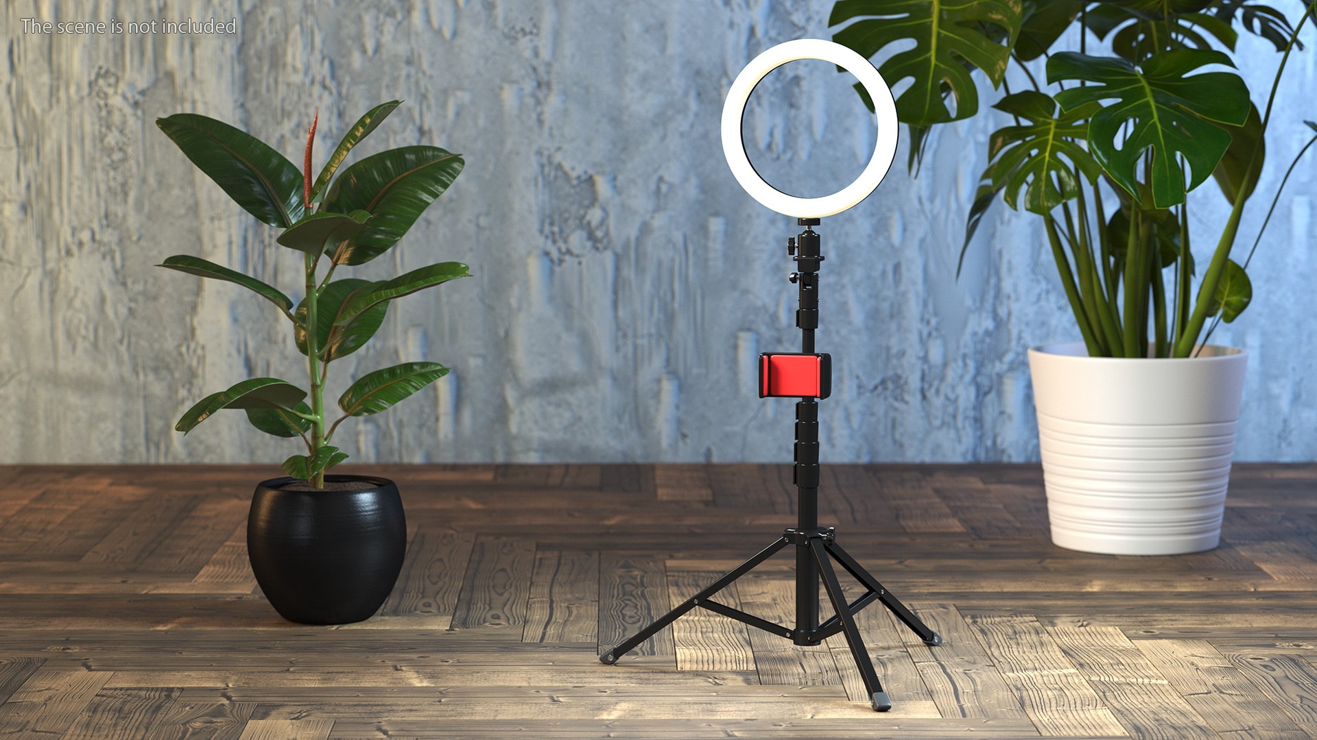 3D model Tripod Stand with Ring Light and Phone Holder https://p.turbosquid.com/ts-thumb/jV/65rZe9/uB/tripodstandwithringlightandphoneholderc4dmodel002/jpg/1637909680/1920x1080/fit_q87/083d897e68cc002dd22eaf864c5180a7e2899928/tripodstandwithringlightandphoneholderc4dmodel002.jpg