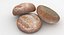 Bread Millet