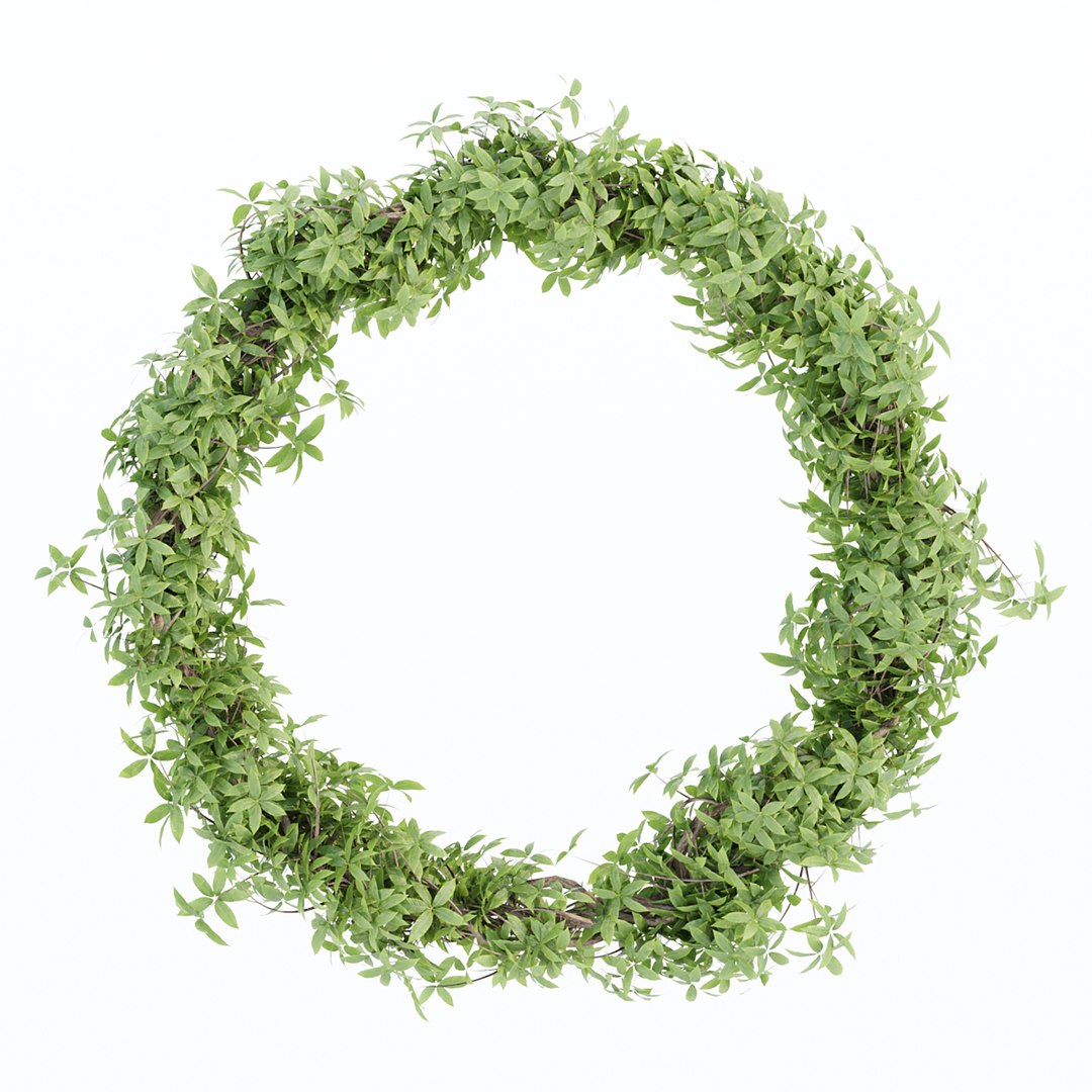 Foliage wreath collection vol 169 model https://p.turbosquid.com/ts-thumb/jV/Iqr0nB/48/5/jpg/1671306367/1920x1080/fit_q87/756b7844bdd989ae617b32d5833bd02a7fbf89fe/5.jpg