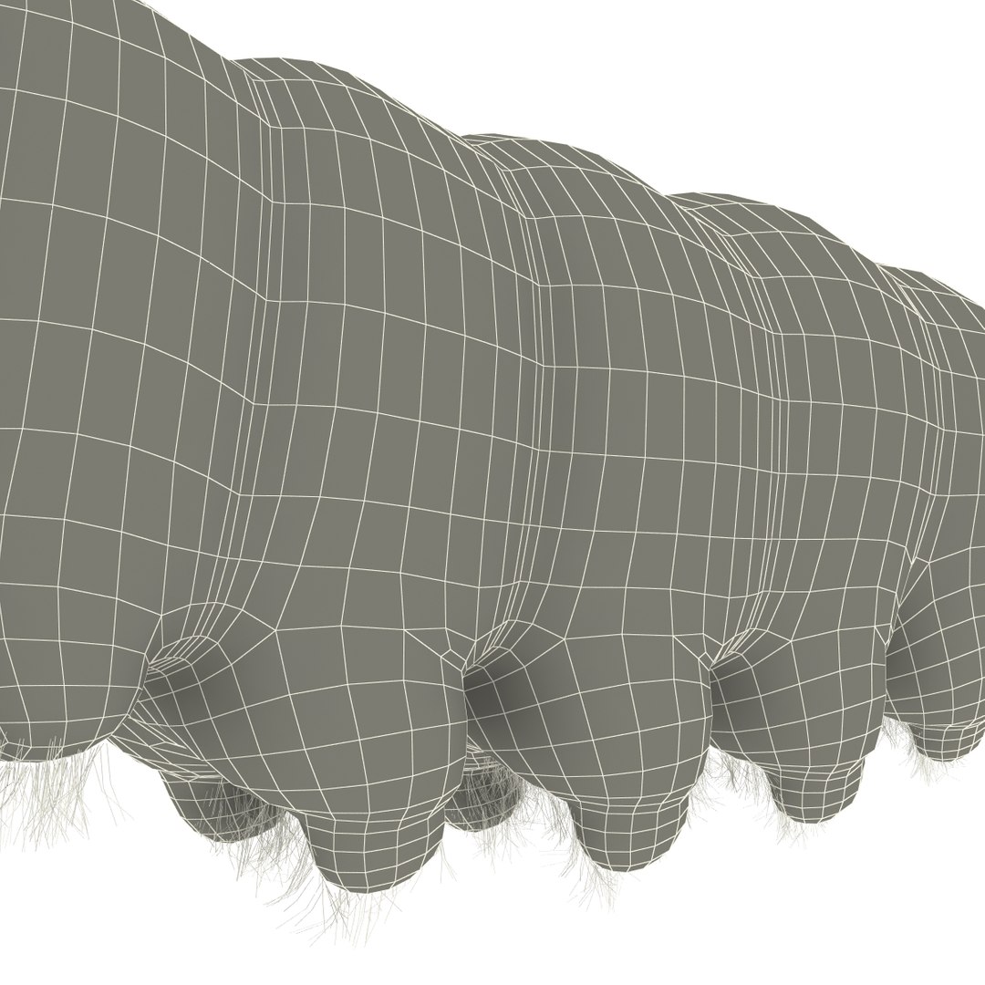 max insects set earthworm https://p.turbosquid.com/ts-thumb/jV/Rp1yHD/6bFWTwiy/insects_collection_51/jpg/1312834586/1920x1080/fit_q87/0fae328241e8458b47f1163112b998f5083d5c5b/insects_collection_51.jpg