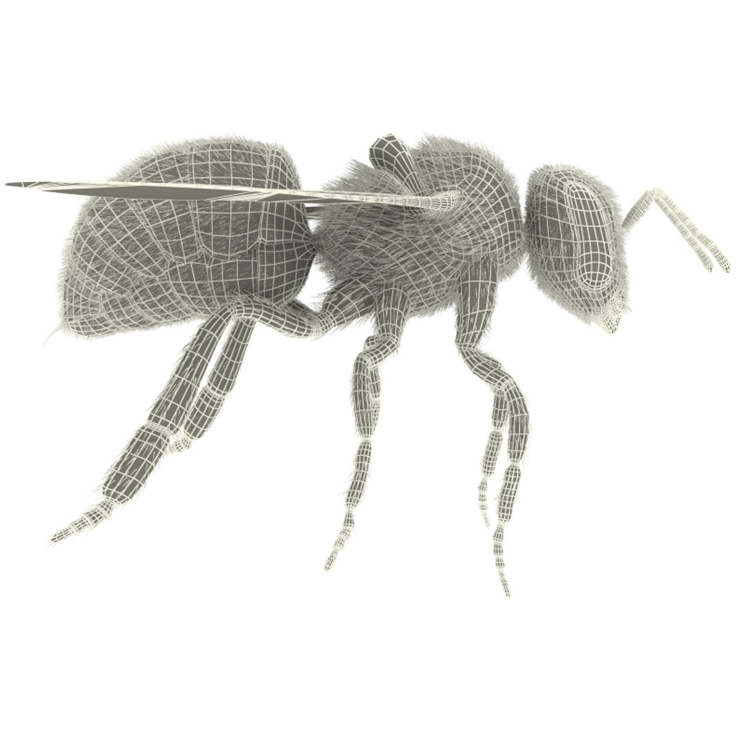 max insects set earthworm