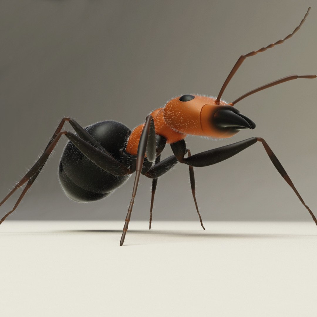 max insects set earthworm