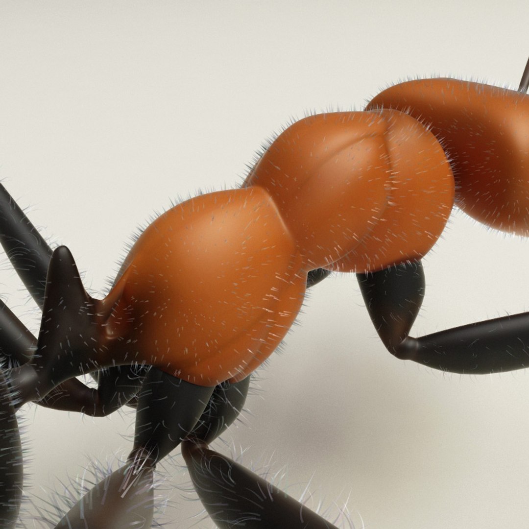 max insects set earthworm