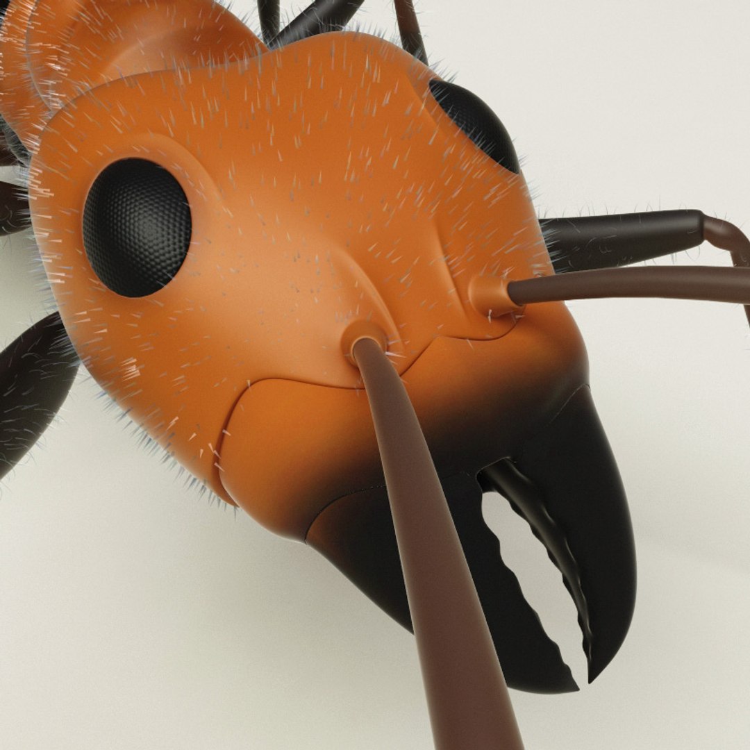 max insects set earthworm