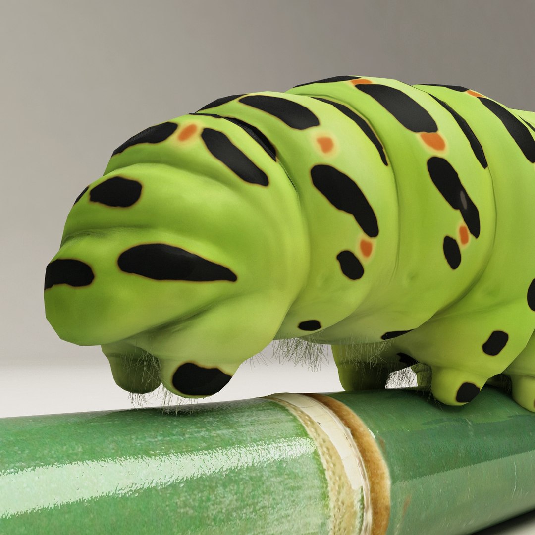 max insects set earthworm https://p.turbosquid.com/ts-thumb/jV/Rp1yHD/roPMQEZ7/insects_collection_46/jpg/1312834586/1920x1080/fit_q87/b66bcd175981ab9d1ddfb6d5bf161a84077b9c2a/insects_collection_46.jpg