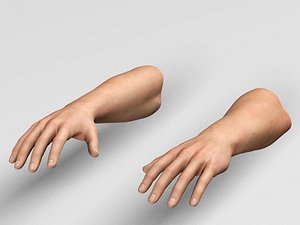 realistic man hands model