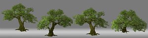 tree big 3D