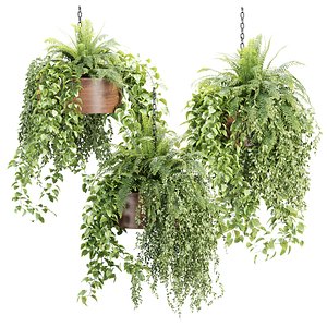 3D Indoor Hanging Plants Collection V533 3D Plant Model model