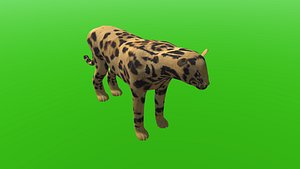 Tiger Like Cheetah 3D model