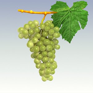 Green Grapes