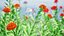 Scabiosa-Blumen 3D-Modell