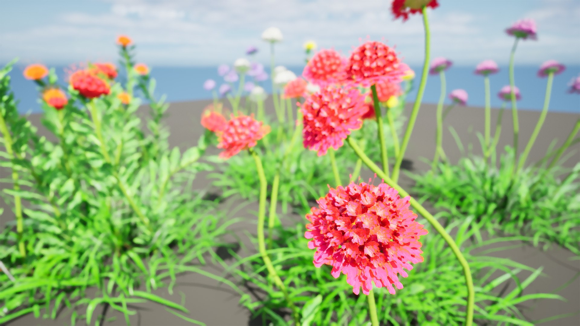 3D Scabiosa flowers 3d model https://p.turbosquid.com/ts-thumb/jW/12c7td/B9/highresscreenshot00006/jpg/1703960086/1920x1080/fit_q87/8c02ffd542fad48bf5717fb578d75d275687d82a/highresscreenshot00006.jpg