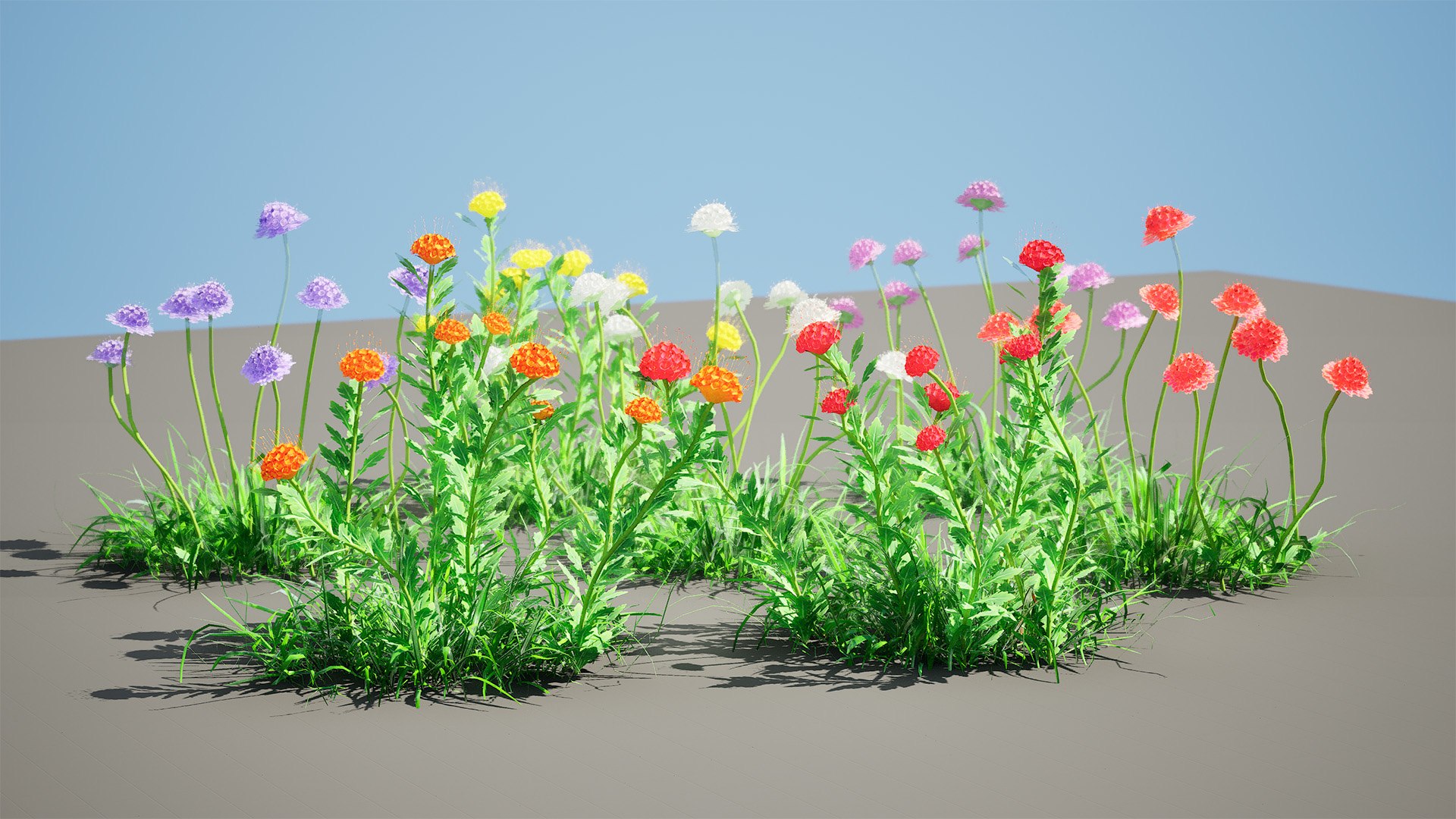 3D Scabiosa flowers 3d model https://p.turbosquid.com/ts-thumb/jW/12c7td/np/highresscreenshot00002/jpg/1703960083/1920x1080/fit_q87/d8ebb19b480221301c750ef9a200cc923b4c1023/highresscreenshot00002.jpg