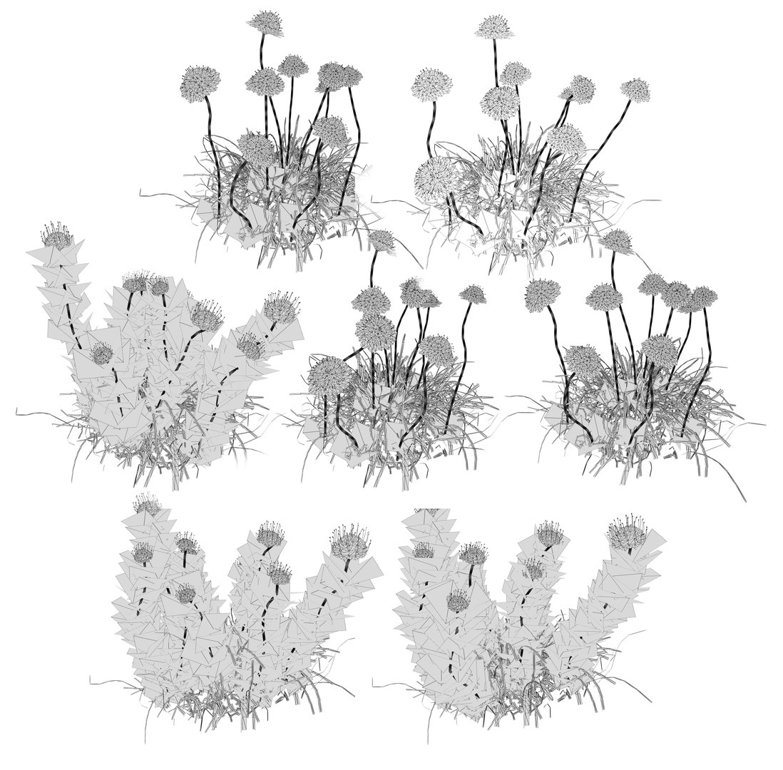 3D Scabiosa flowers 3d model https://p.turbosquid.com/ts-thumb/jW/12c7td/wK/wire/jpg/1703960092/1920x1080/fit_q87/392397d52f93e898140402c4560c54ecf0b17414/wire.jpg
