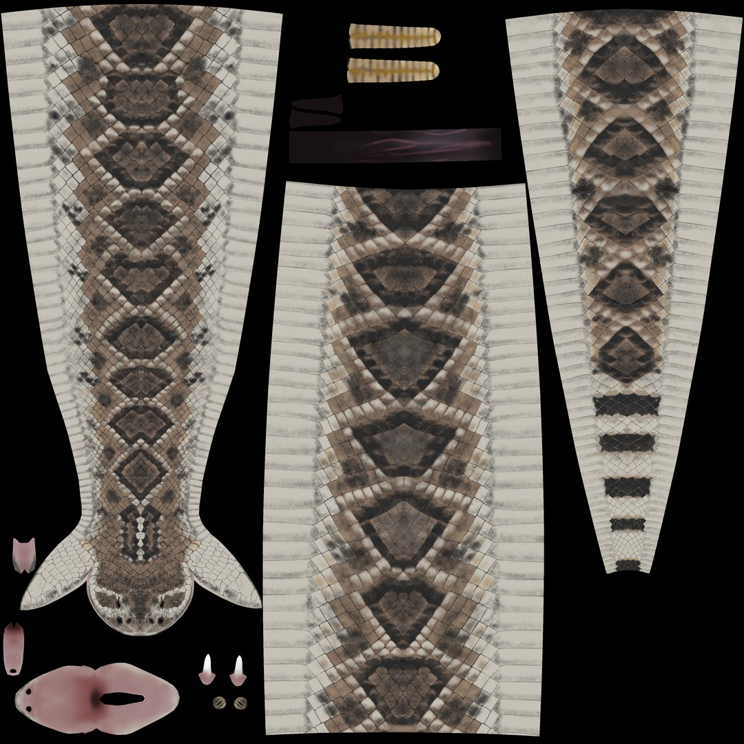 snake viper reptile 3D model https://p.turbosquid.com/ts-thumb/jW/FBM0tp/Ii/rattlesnake_d/png/1611864497/1920x1080/fit_q87/7a1db247382649fd155ebefe65ec8e36d2e14d01/rattlesnake_d.jpg