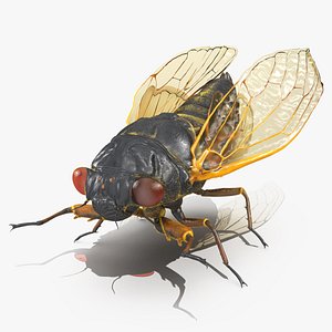 Pharaoh Cicada Fur Rigged 3D