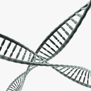 Dna helix