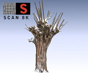 3d willow snow 2