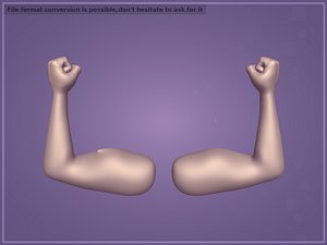 Muscle Hand Icon 3D model