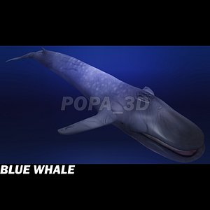 Blue Whale