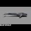 Blue Whale