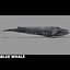 Blue Whale