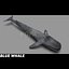 Blue Whale