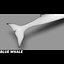Blue Whale