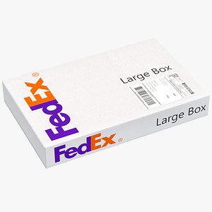 3D Cardboard Box Fedex