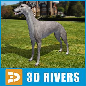 3ds max greyhound dogs
