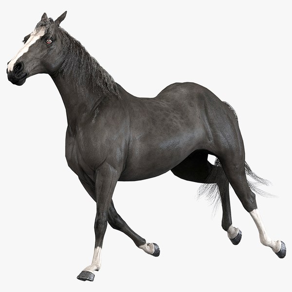 3D realistic horse animation