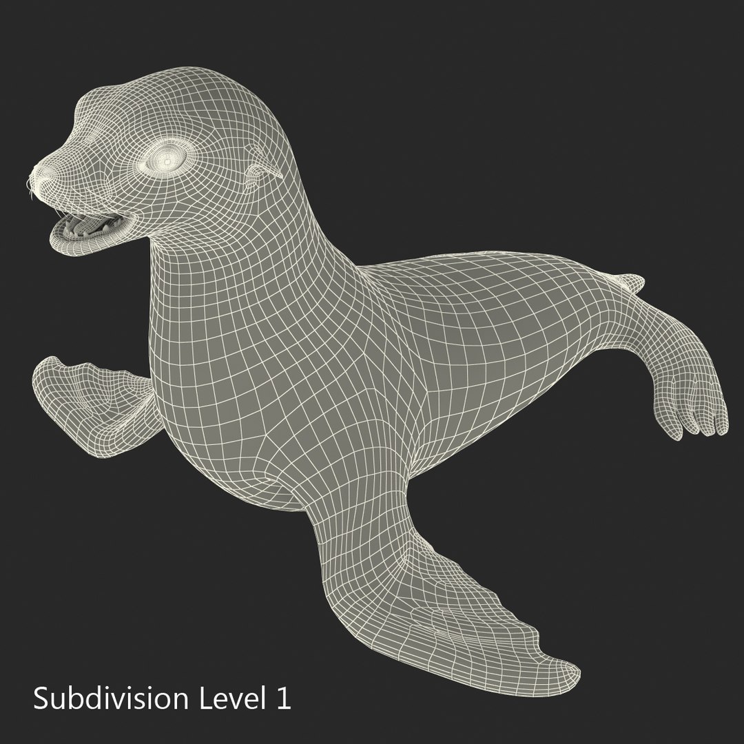 3d sea lion rigged https://p.turbosquid.com/ts-thumb/jX/8lgSFi/5RSRzotF/sealionrigged3dmodel22/jpg/1443884555/1920x1080/fit_q87/ea84ef3911c728c45b147b03172852d10e0f84cc/sealionrigged3dmodel22.jpg
