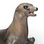 Sea Lion Rigged