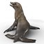 Sea Lion Rigged