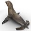 Sea Lion Rigged