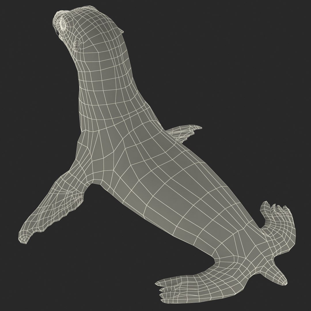 3d sea lion rigged https://p.turbosquid.com/ts-thumb/jX/8lgSFi/JM9wonMm/sealionrigged3dmodel28/jpg/1443884555/1920x1080/fit_q87/e50141c5ef7805bf2c112907a78c64fae5231121/sealionrigged3dmodel28.jpg