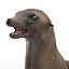 Sea Lion Rigged