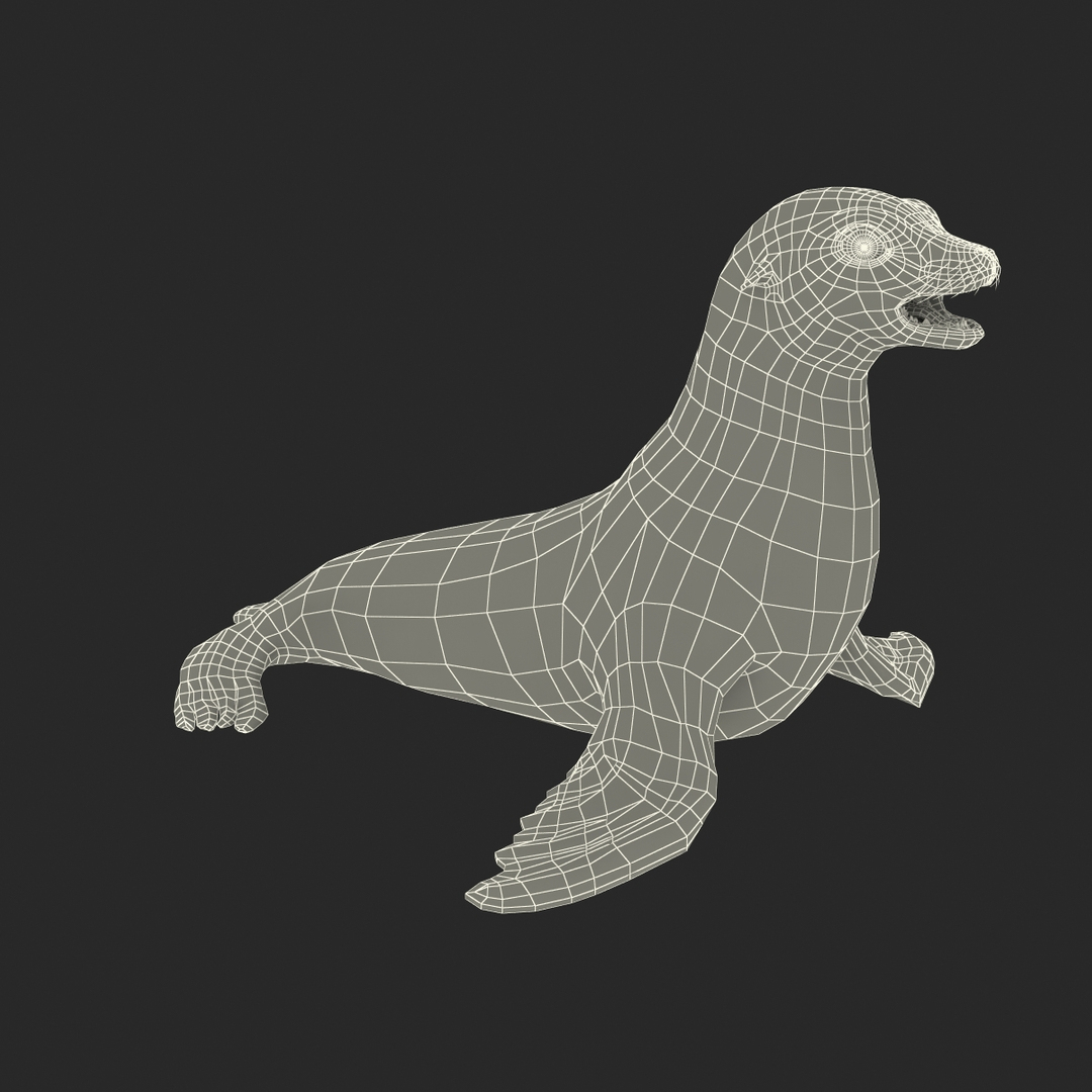 3d sea lion rigged https://p.turbosquid.com/ts-thumb/jX/8lgSFi/N83B9hBt/sea_lion_361/jpg/1443885045/1920x1080/turn_fit_q99/2b1894c8c8a554222305fa37e4e13f2c0cd5b67e/sea_lion_361-1.jpg