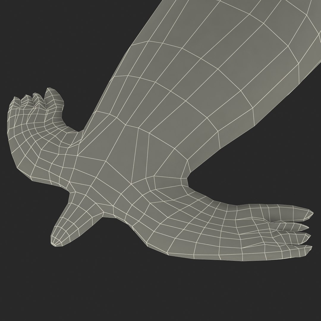 3d sea lion rigged https://p.turbosquid.com/ts-thumb/jX/8lgSFi/Nfbw1c74/sealionrigged3dmodel31/jpg/1443884555/1920x1080/fit_q87/e5d5e0324f5c668d9ada45b84b3d0e5ed66ba418/sealionrigged3dmodel31.jpg