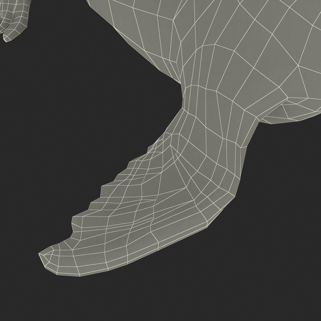 3d sea lion rigged https://p.turbosquid.com/ts-thumb/jX/8lgSFi/TqpDb8yU/sealionrigged3dmodel32/jpg/1443884555/1920x1080/fit_q87/08b35b0db601df8530485961347eb749ecadacc0/sealionrigged3dmodel32.jpg