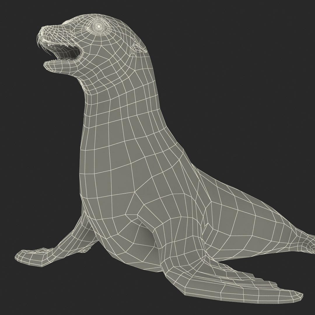 3d sea lion rigged https://p.turbosquid.com/ts-thumb/jX/8lgSFi/WmYOpYVK/sealionrigged3dmodel29/jpg/1443884555/1920x1080/fit_q87/df65ec3e0f459a1281a39de011984cccd878b4de/sealionrigged3dmodel29.jpg